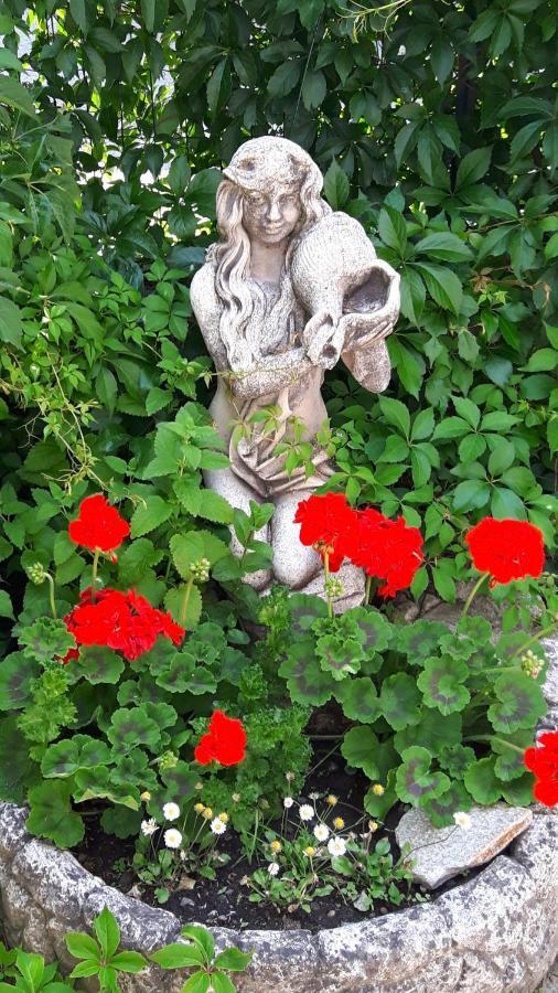 La Locanda Del Mulino Pollein Zewnętrze zdjęcie